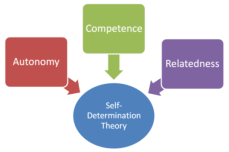 SelfDeterminationTheory