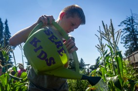 student watering plants